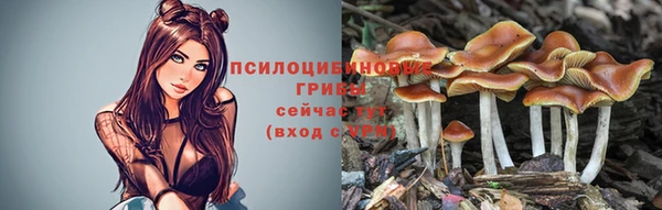 гашиш Аркадак