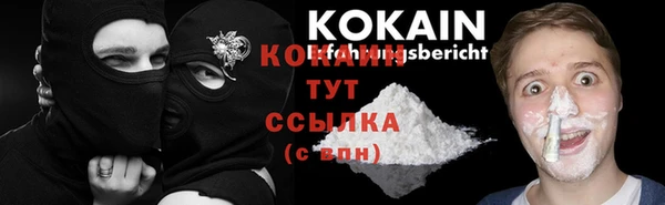 твердый Армянск