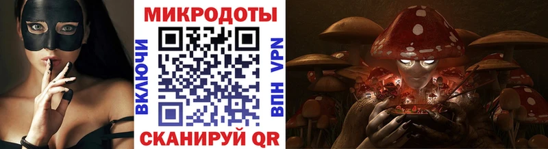 Галлюциногенные грибы Psilocybine cubensis  купить наркоту  Талица 